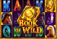 Игровой автомат Book of Wild