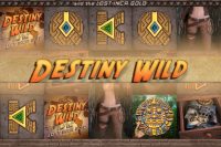 Игровой автомат Destiny Wild